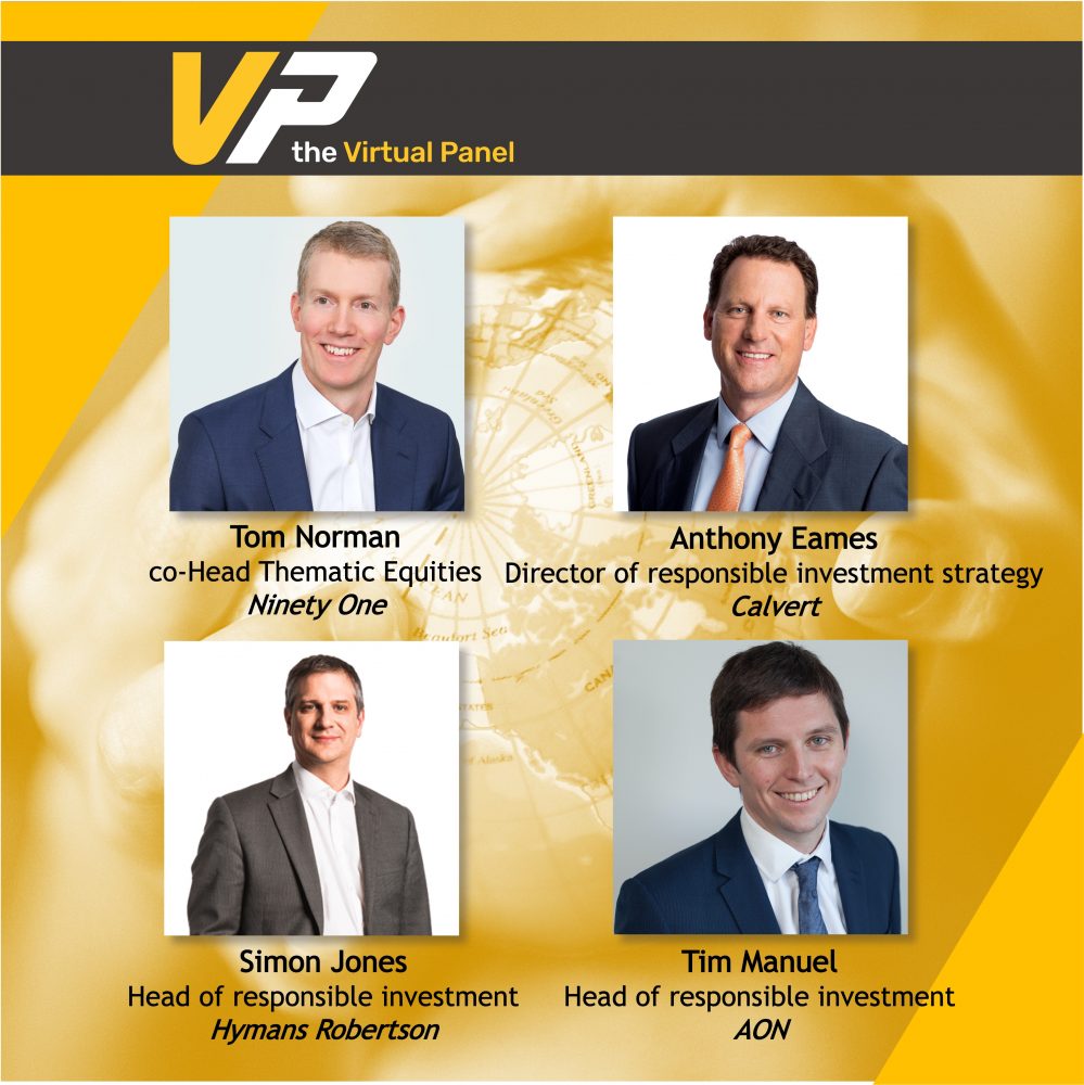 Esg Panel Series The Virtual Panel